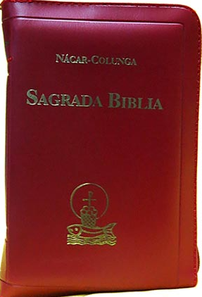 ESP019JULIIOPEREZTEJERALABIBLIA